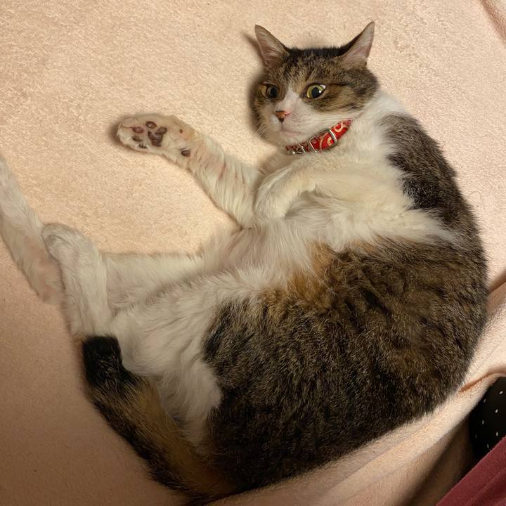 F79be2ac a74b 49b4 8523 a298f71adfec 1593967631864