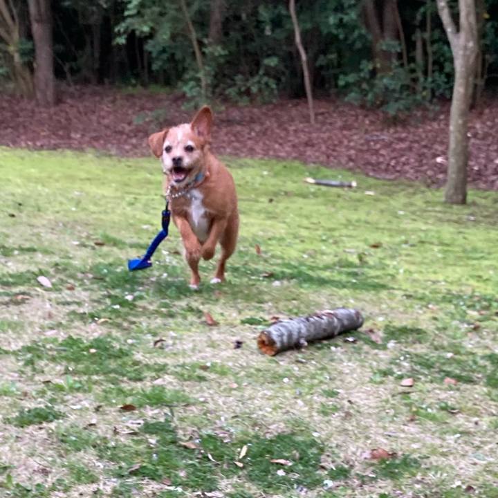 F79c0e3f e26e 4aa5 8b8d a1e3df63959d 1649412973049