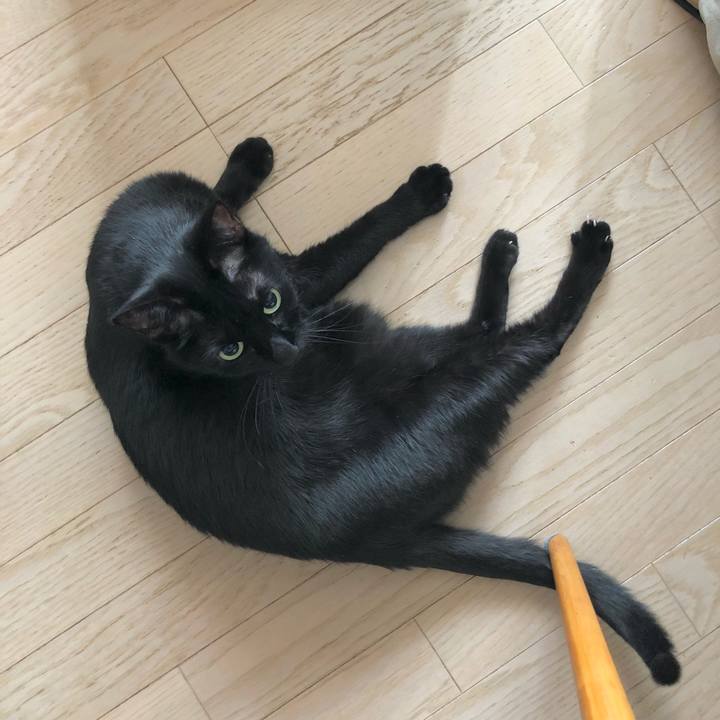 F79ca659 812f 4d1f a86d 2b83c21f3b0a 1610881593248