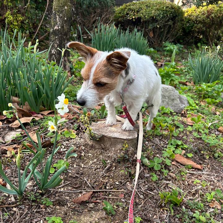 F79cb28c c33a 402d b390 38bcfd821840 1765495615329