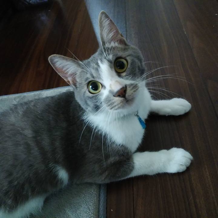 F79ce869 17d6 4f7f bfff 6d2814f7e9df 1593040973155