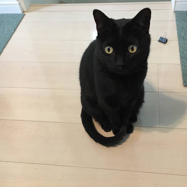 F79d0c46 e981 4e6a b81b 49d18993ac58 1550369799822