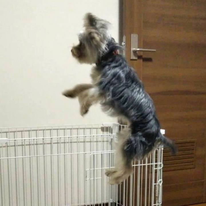 F79d13bf dbb9 4d0d a0f3 9f0ce80a1390 1627171405809