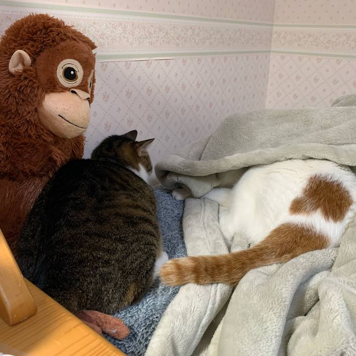 F79d2247 c92e 40e6 aae5 920a701b127f 1638309302819