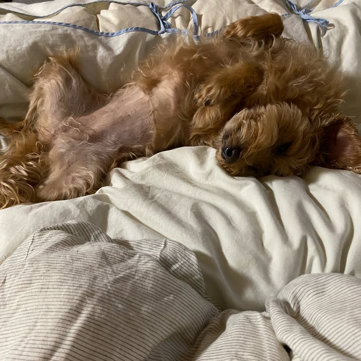 F79d3bee 1c07 467b 802c 061046729db0 1661946495330