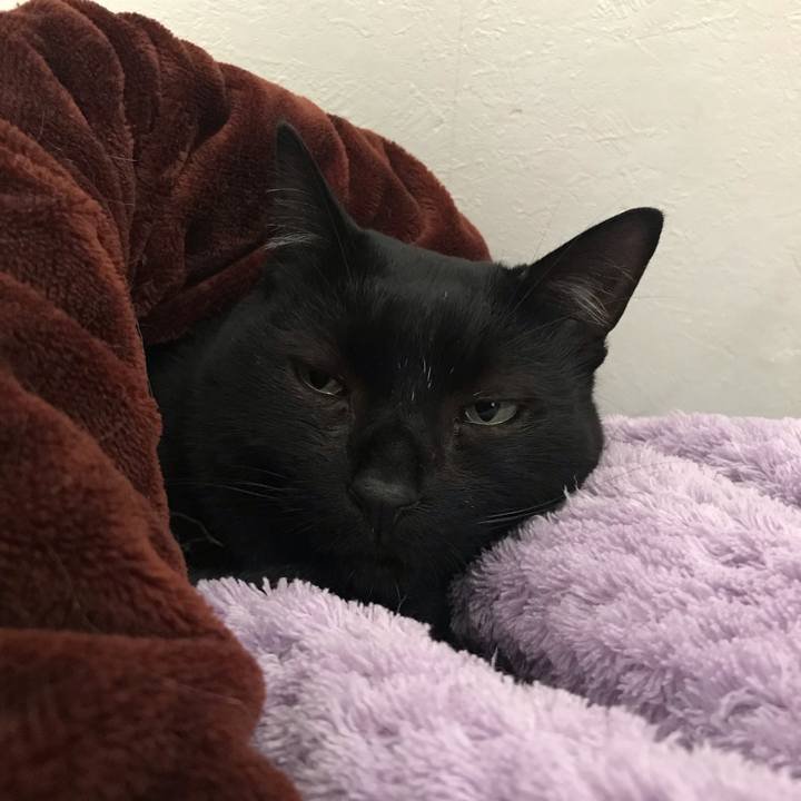 F79d40d1 ef11 45b1 b808 46070d548074 1556636287121