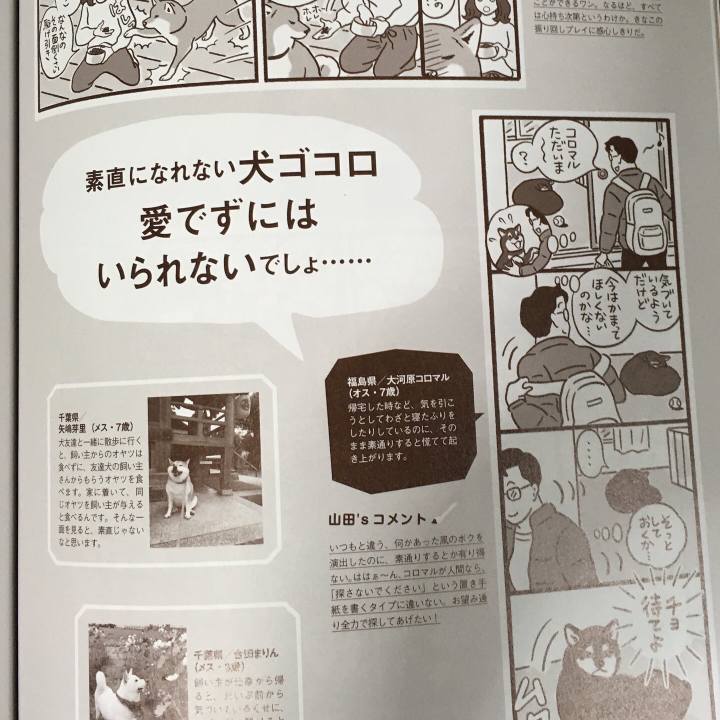 F79d5462 69e5 4c6f 84f6 d92019ba82a6 1647645651975