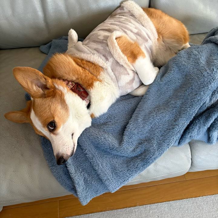 F79d6d0e 0a88 4e2c bbd2 2162566265f6 1768261736934