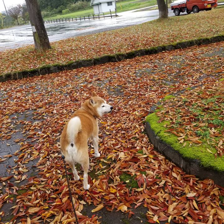 F79d9d65 e0ec 49c9 beef 4ad0d0e5fc9c 1666069160581