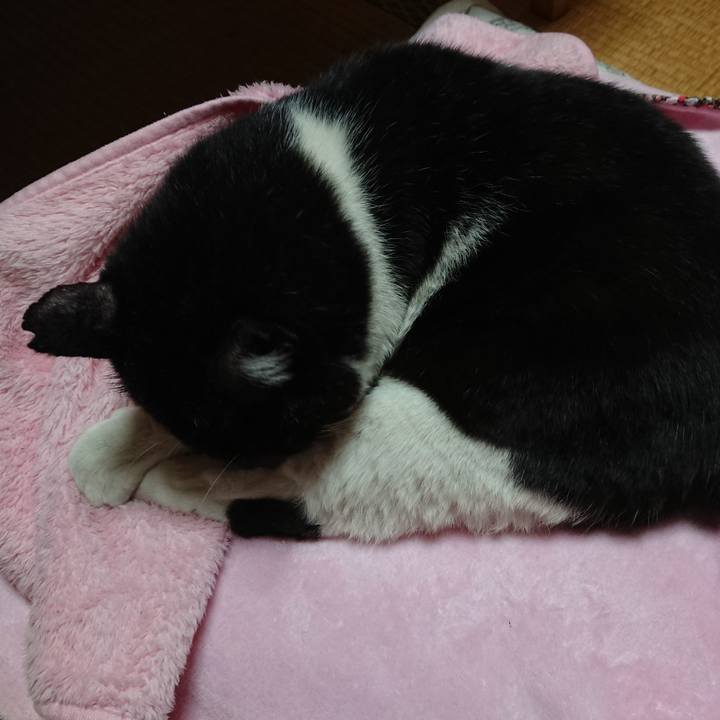 F79db94a e6ee 4adc 9aa2 211dafff9e5a 1634814979414