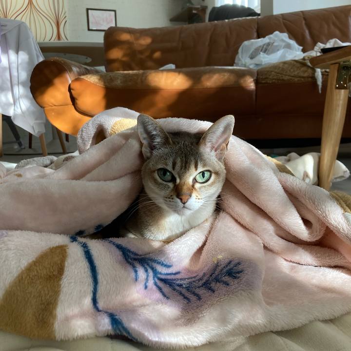 F79dbbfb 9dd3 484a b1a6 e12381688631 1735517637787