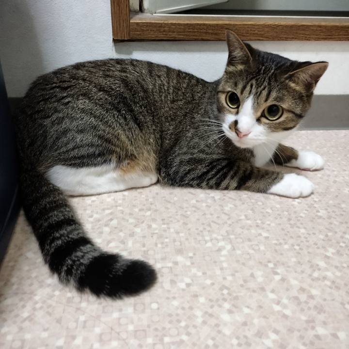 F79ddd6e 3cad 4baa 8e5b 38a0ddd012e3 1756159739349