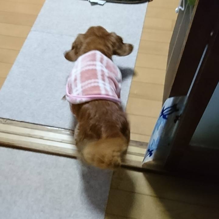 F79dea63 b672 4539 b4fc d4b1488f6af1 1513843669515