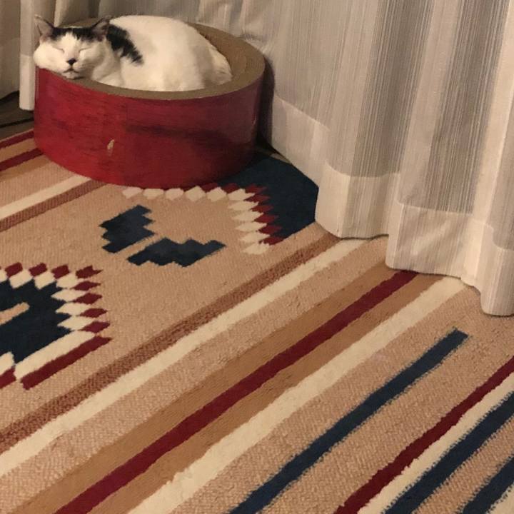 F79dfafb aca4 4b56 89ac 2d2835afc476 1539434740564