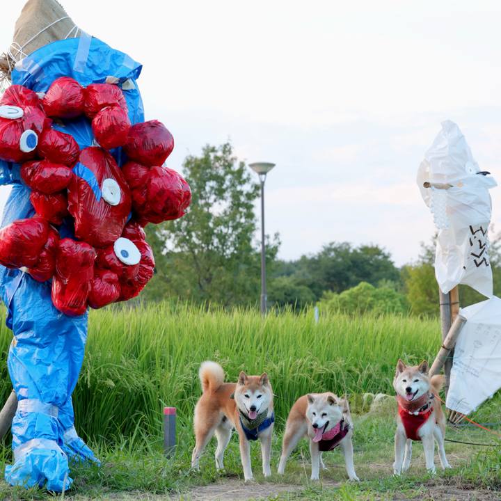 F79e00a6 b0c2 4503 b446 edec2b5fcbf9 1757427696087