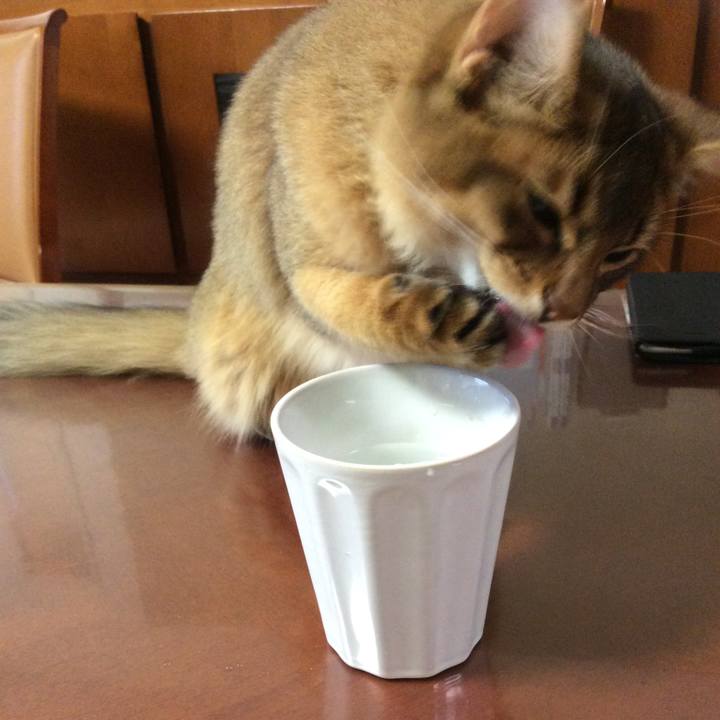 F79e1f5f d3fd 405e b146 64eee1872d65 1575671296811