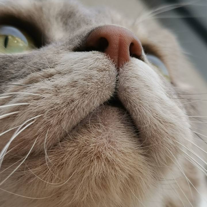 F79e28da 4645 4b14 b417 714509c55212 1614759952326