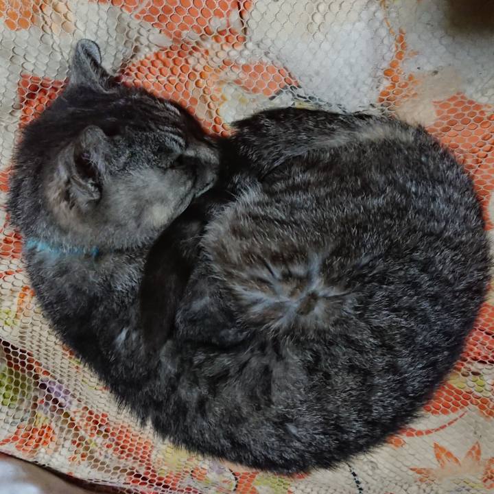 F79e3d9c c5b5 48db 9427 b3e45f9a2d1a 1571833877450