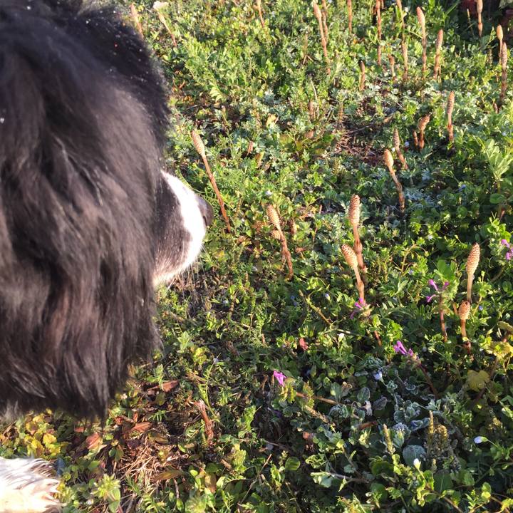 F79e5a7c cc60 4a6c 8545 30b82152412f 1552087519328