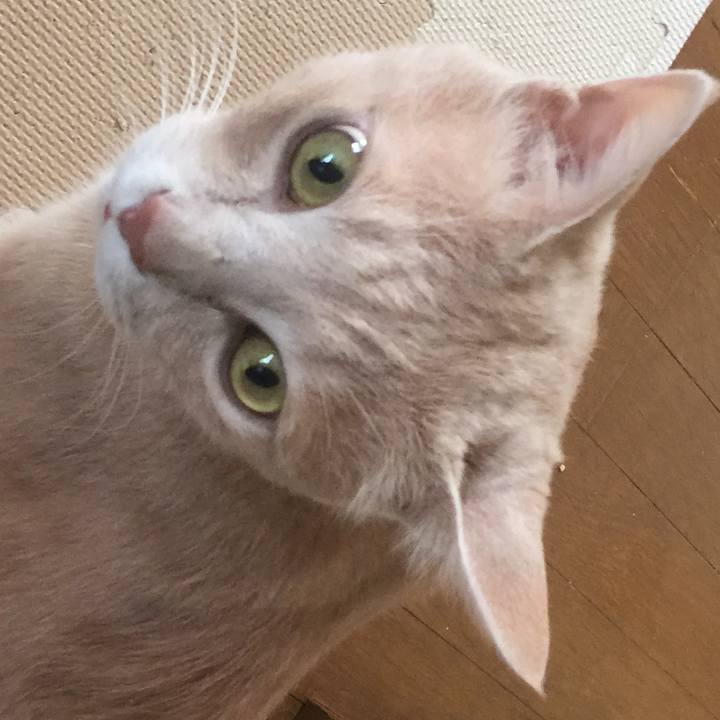 F79e7d66 38d4 4fdf b04f 0089abcf107f 1623817034519