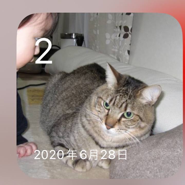 F79e7e8e 6d6d 4972 915d 06c837086748 1719927071650