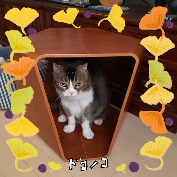 F79eb57d b6ae 4429 a5e1 71114dbda698 1729083453600