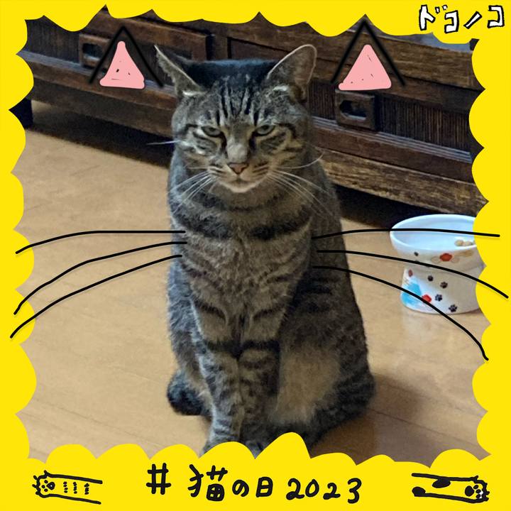 F79eb6af 5fbd 4e59 bb8b a248edece656 1677032812795