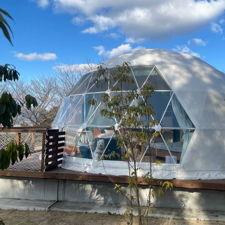 F79ed7dc ee4d 461f bc7e e5ae63329357 1737847833718