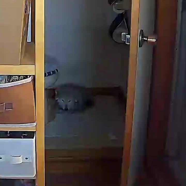 F79edc4f e93b 4577 bade 31d4111fae03 1612503022720