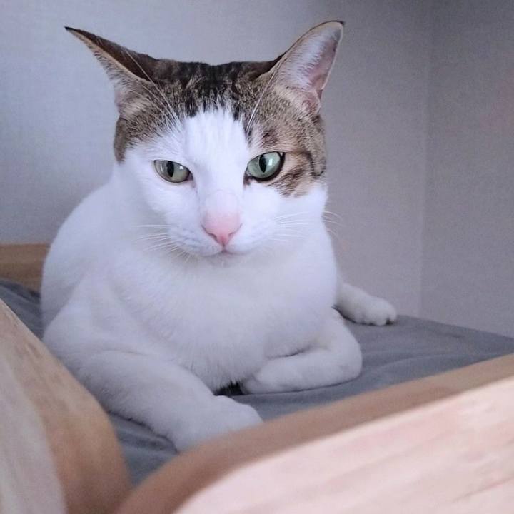 F79efba4 683a 48e0 ac9b 815509c2d5d0 1763165525603