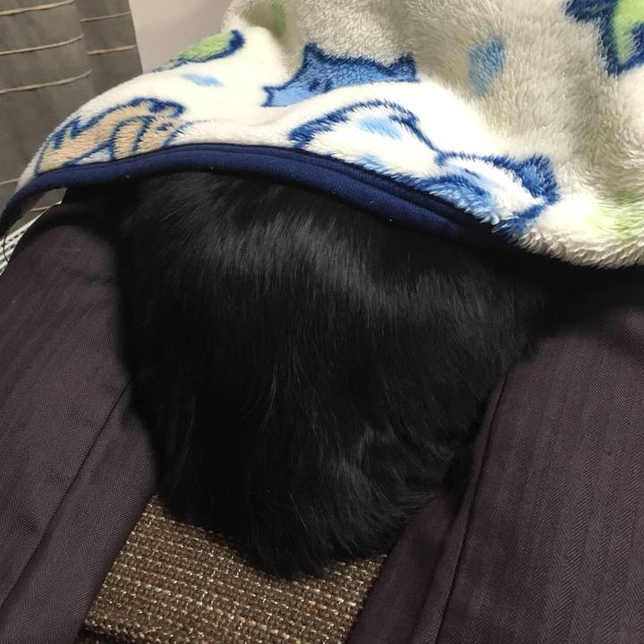 F79f0fa8 a1c2 4677 aaef ea92c861ed4d 1515232597436