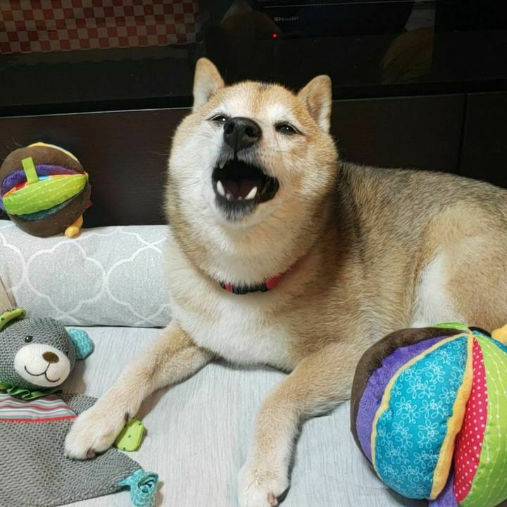 F79f6c65 bfed 4906 bdf5 d1c389118e6b 1655955380321