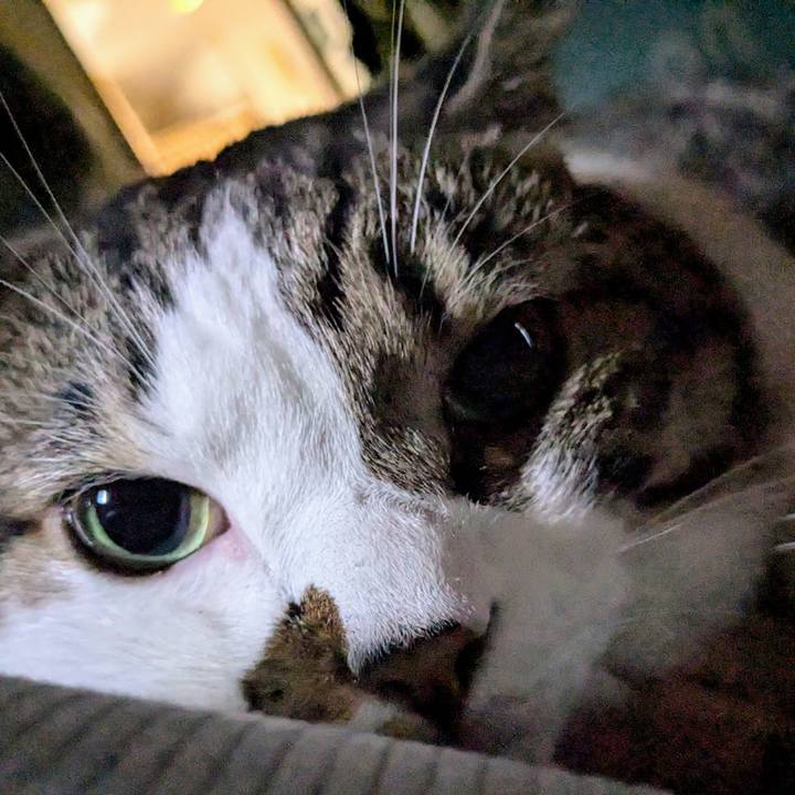 F79f9789 3dc8 4371 9396 b9ef7aa4f455 1728085953439