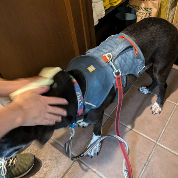 F79fab60 6407 4e63 b3ec 1007f0c7f881 1728001947381