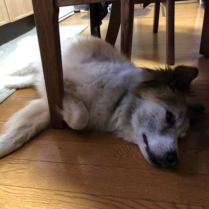 F79faf01 e8b0 4872 adab 01187aa447a6 1530417731498