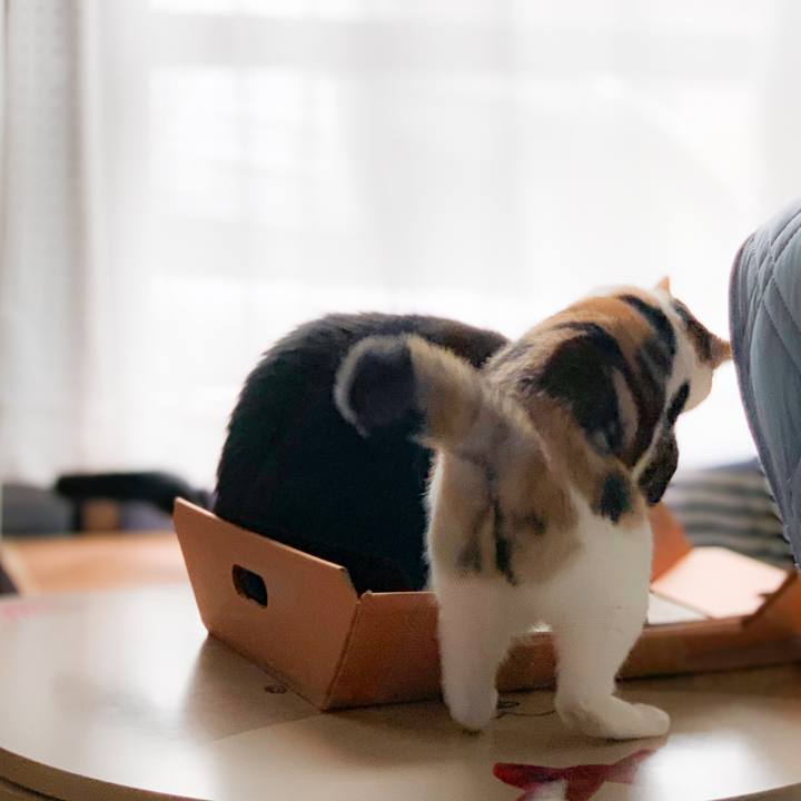 F79fbfd4 b929 4cc6 b82c f228fa8a23b0 1601778347580