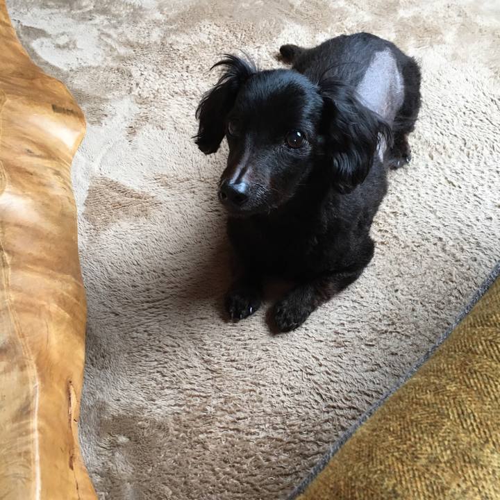 F7a0dcbf ecd4 48de 85c9 518db7f6056e 1542322024180