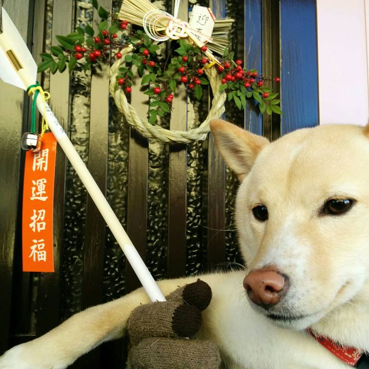 F7a0f58c 9579 444f 84e6 117d85f285b4 1514808789912