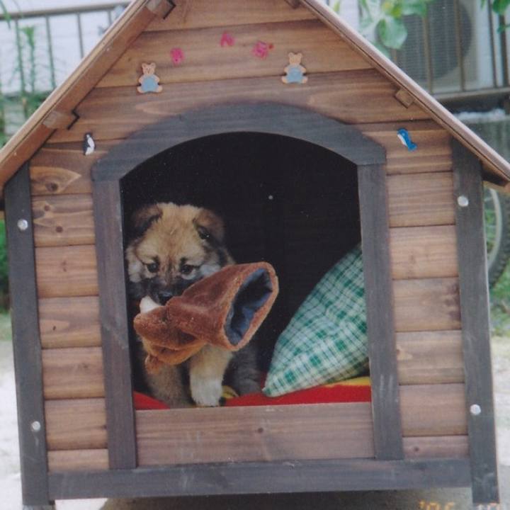 F7a0fd97 6304 4da2 a0e7 cbc7cc8aa3c9 1630909531052