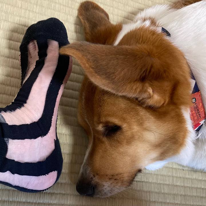 F7a1079f 135a 4315 81b5 9f3cfa4a7bd7 1658835114147