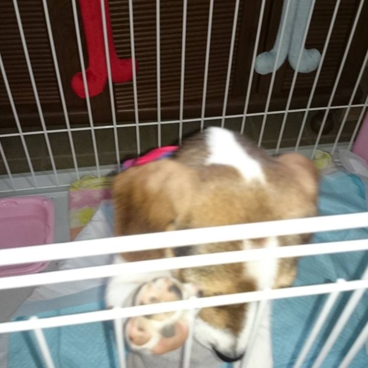 F7a11206 fed6 48f9 ab4b 736b3092100e 1562663974762