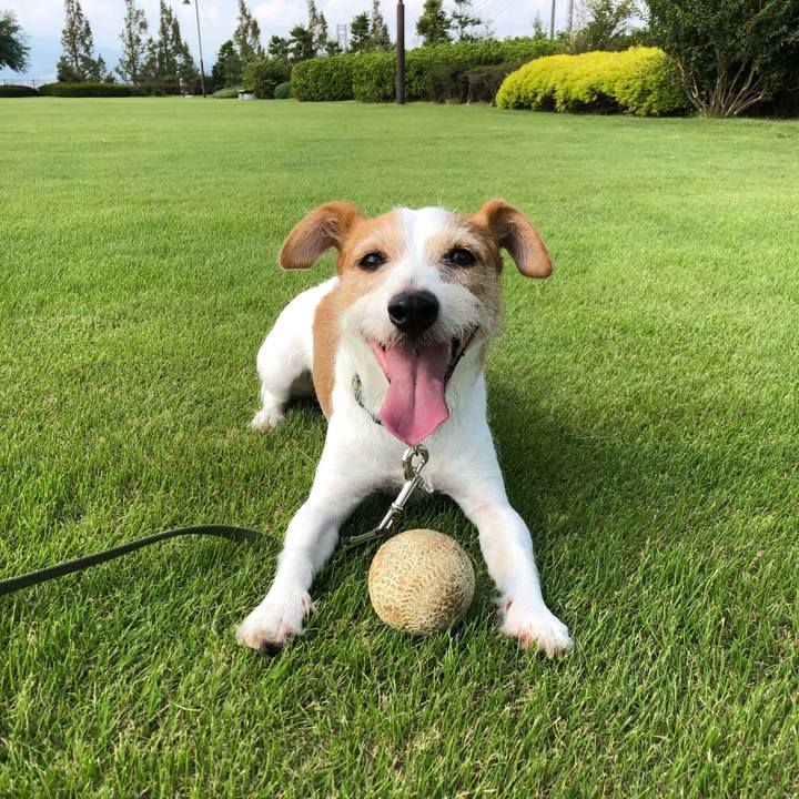 F7a1282f 8e4d 4ee1 9c76 655b30f54b76 1569570116553