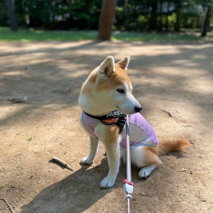 F7a13b2f 541b 4192 8278 174b7679bcb2 1623286818958