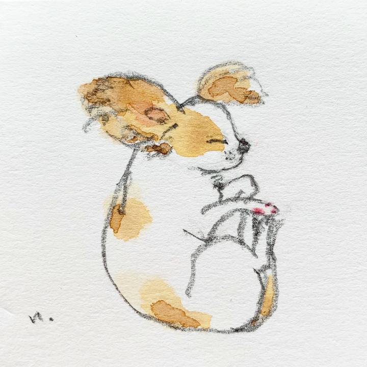 F7a1480a de53 4dde a699 da23dbe3ef78 1631321424436