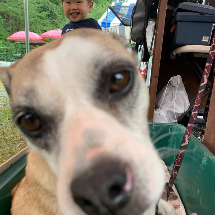 F7a14a36 24ee 4e3b 908e 350e1b183f9d 1595805446204