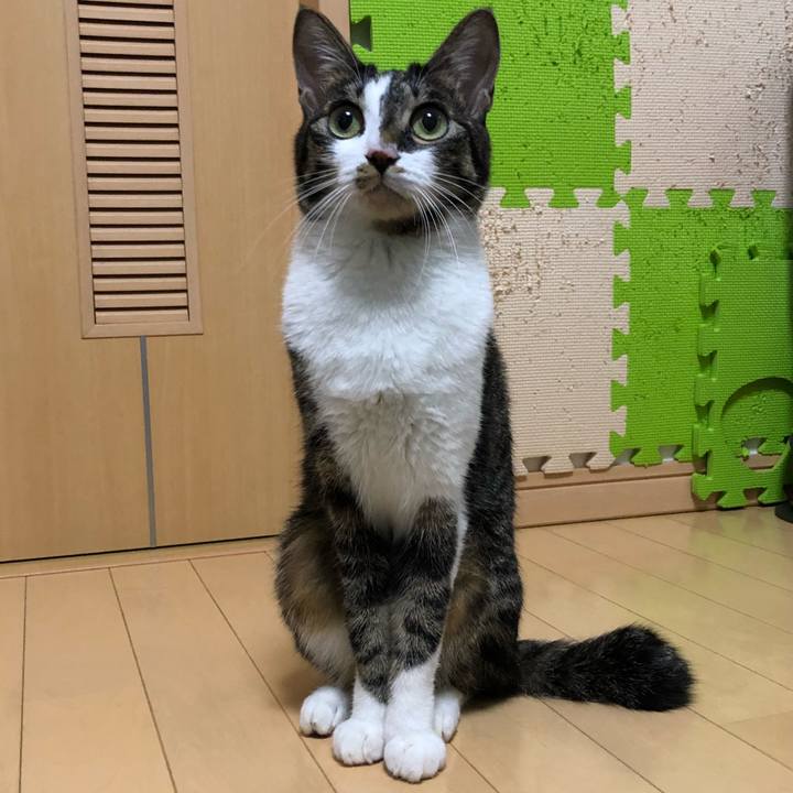 F7a16d44 da10 4749 a50e 1ef6ee34fd25 1514728439920