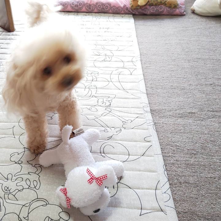 F7a17e29 8711 47aa 9161 e1b2fc721b1a 1569638826003