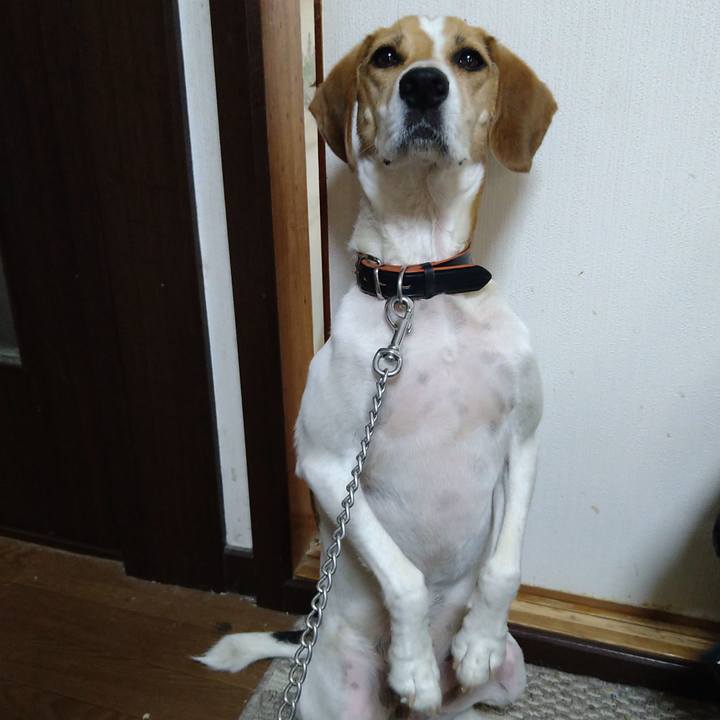 F7a1842d 3983 48f6 8822 7cbf62fba0e7 1627563292881