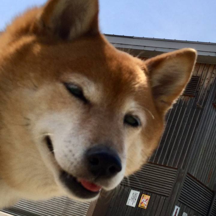 F7a1a2cc 96f4 4bd5 865f 5a2d94e256fe 1586931733243