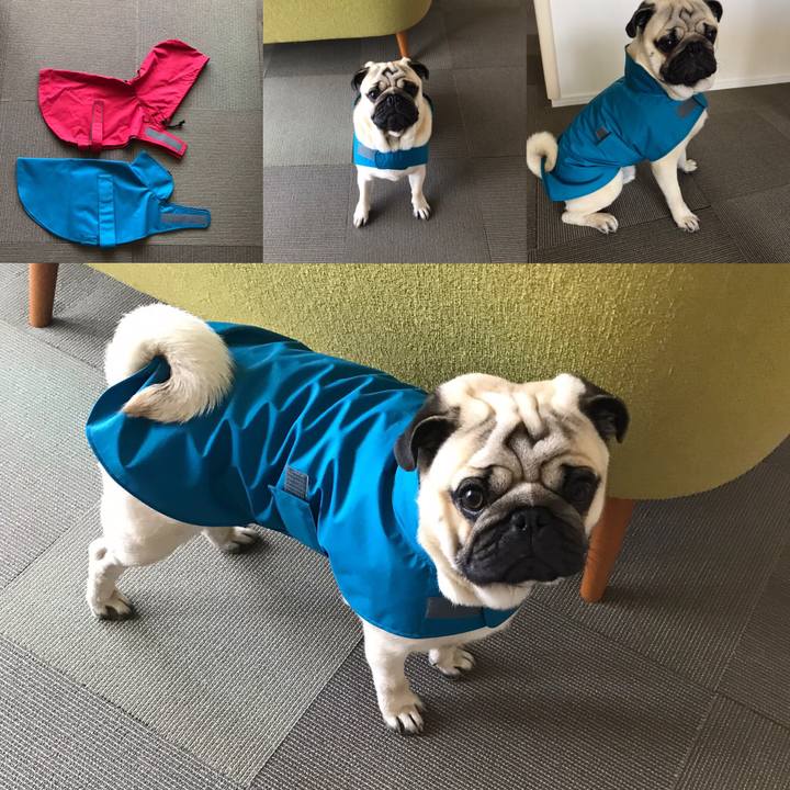 F7a1a99c 8c6e 462e a183 0c70af90857e 1556692367411